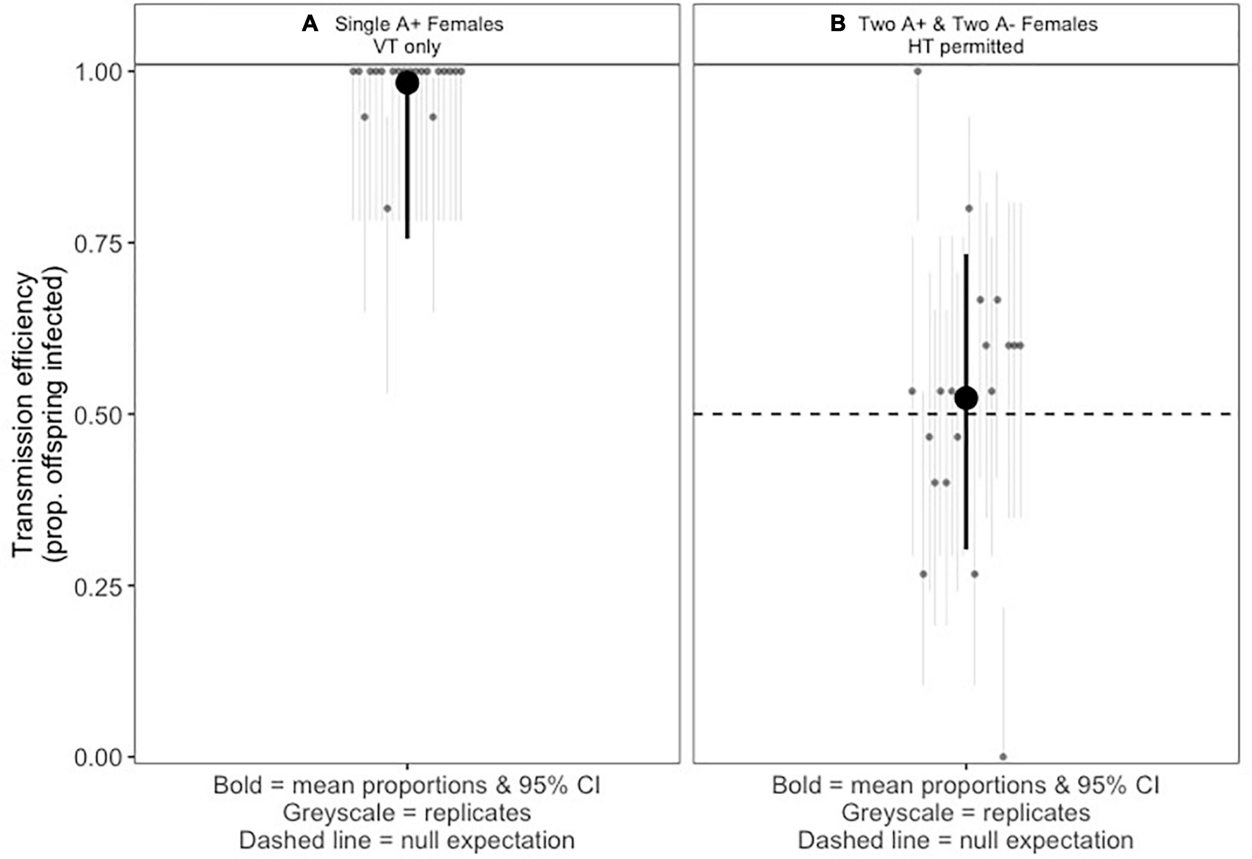 Isolation, culture and characterization of Arsenophonus symbionts from two insect species reveal loss of infectious transmission and extended host range